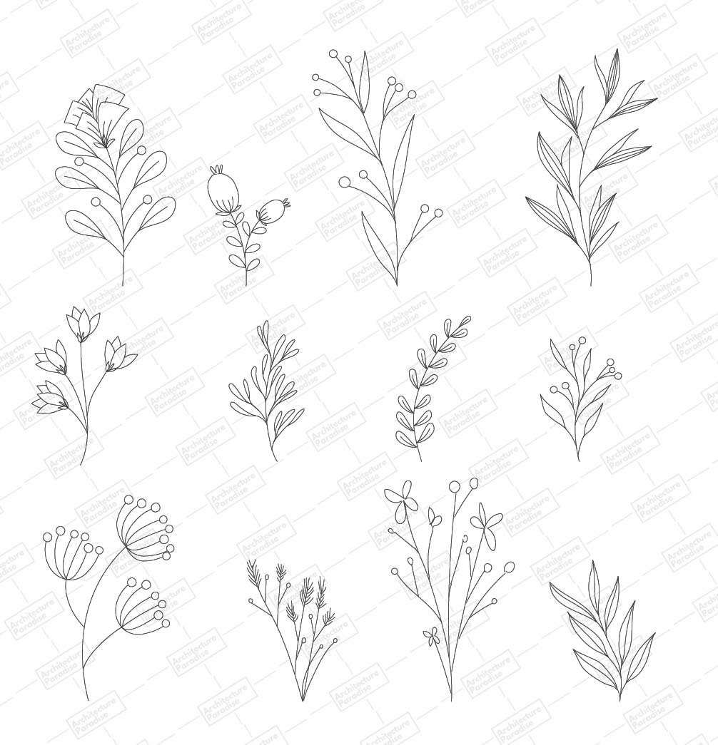 Sheet of twelve minimal plants in elevation, grey line drawing: flowering stems, leaves and grasses, with a watermark