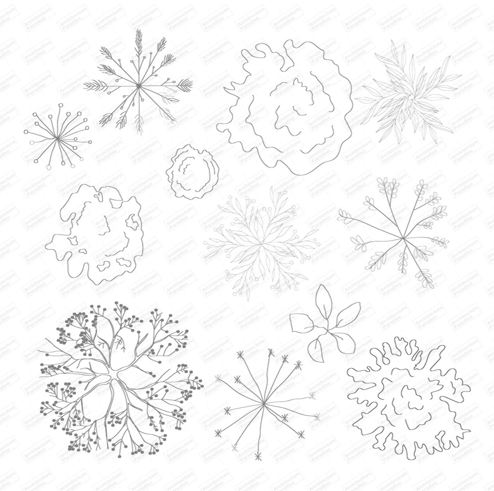 Sheet of nine trees and shrubs in plan, grey line drawing: round canopies, palm, fern-like and leafy species, with a watermark