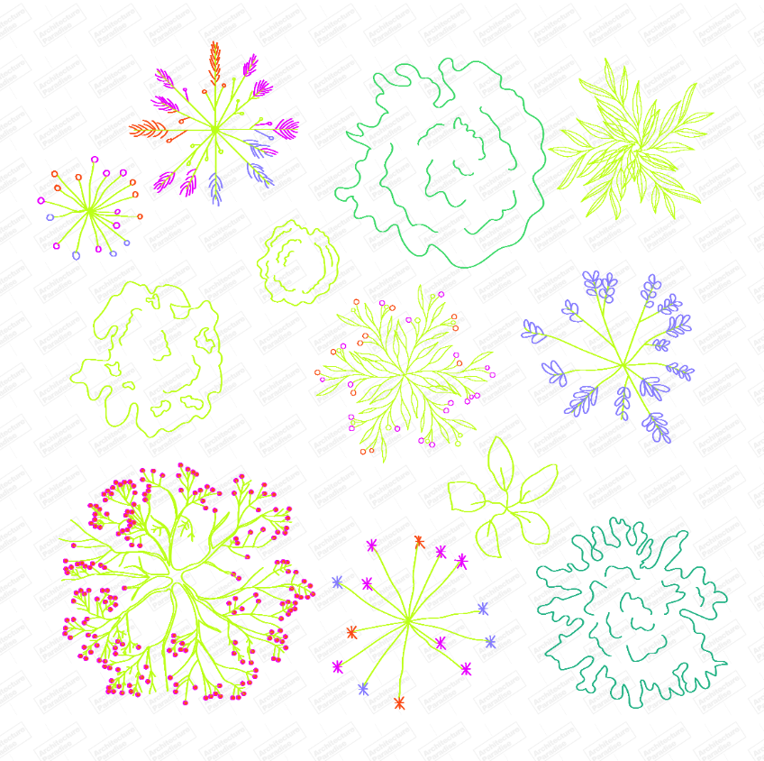 Sheet of nine trees and shrubs in plan drawn in coloured lines: green, pink and purple canopies, flowering and leafy species, with a watermark
